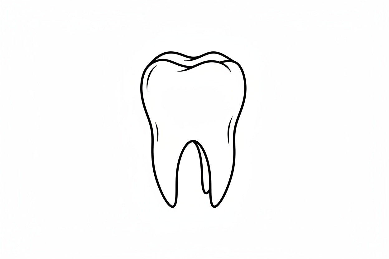 Tooth outline